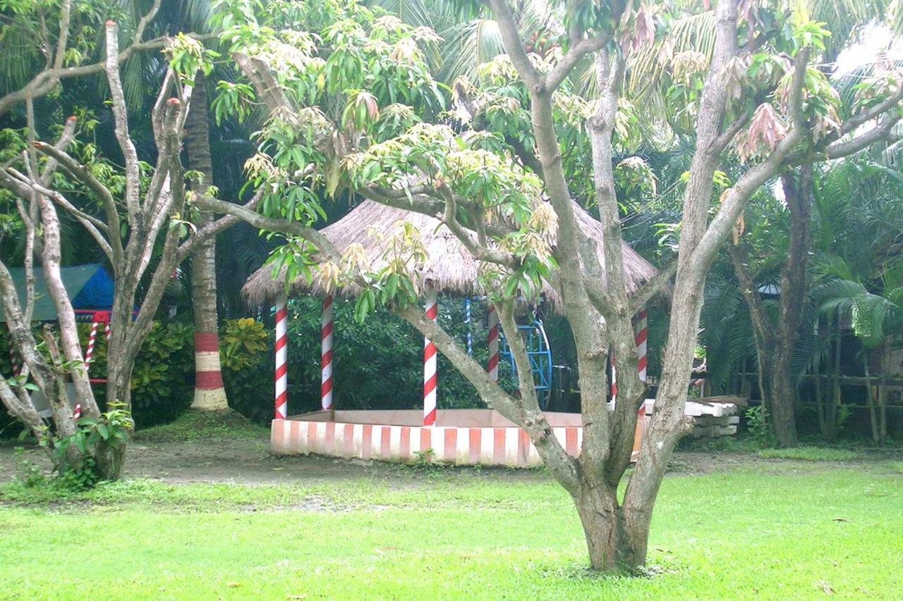 Palm Village Resort Calcutta Buitenkant foto