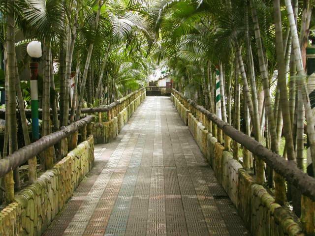 Palm Village Resort Calcutta Buitenkant foto